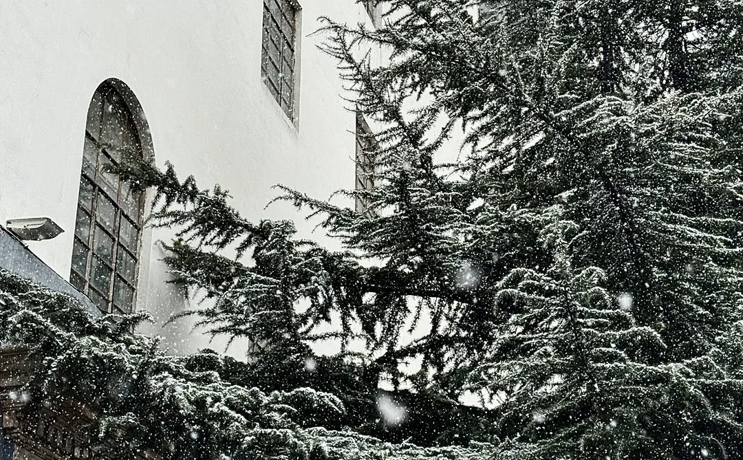 石家庄真的下雪了！！好大啊！！！