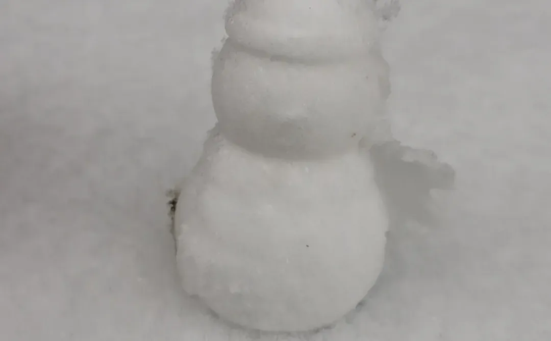 石家庄的雪来了。