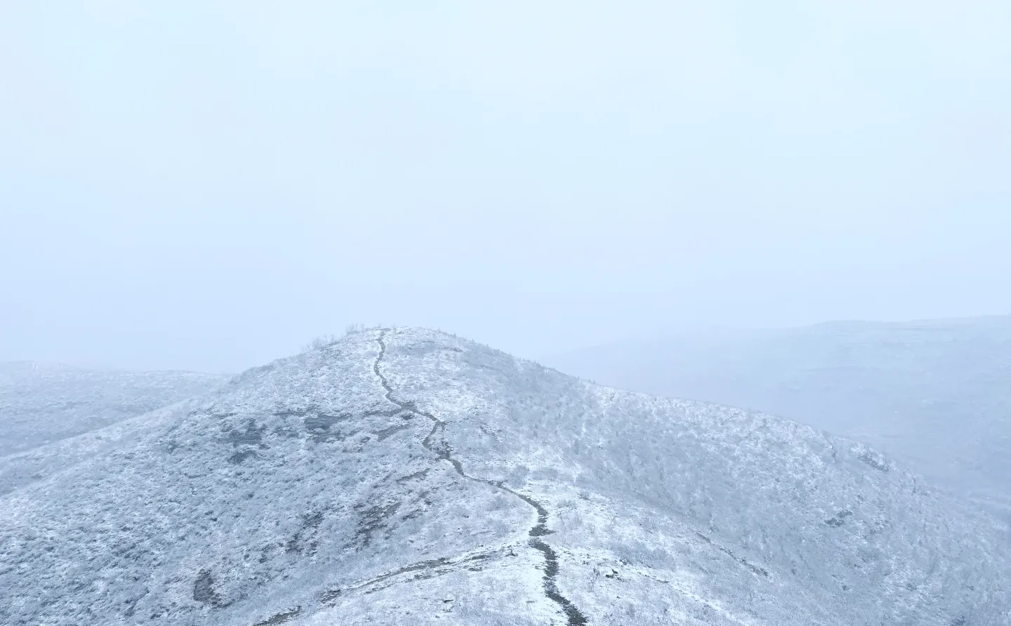 国际庄第一场雪
