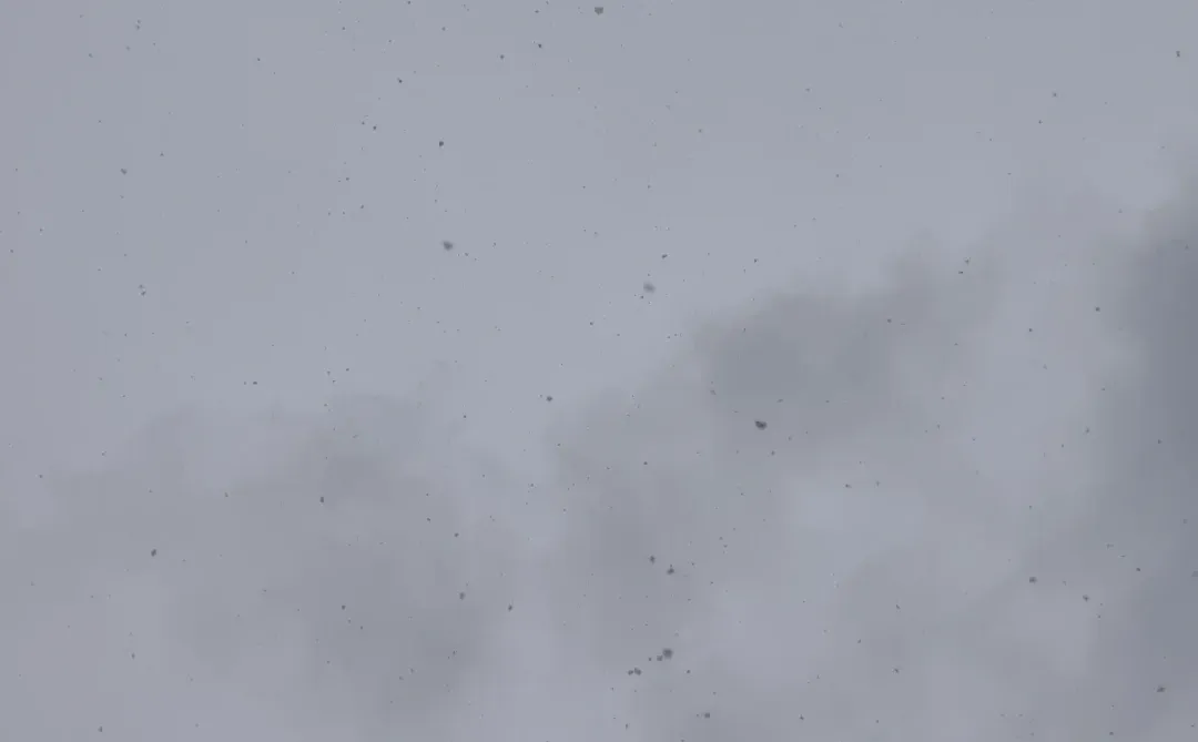 你是约的雪，我在邯郸帮你看了