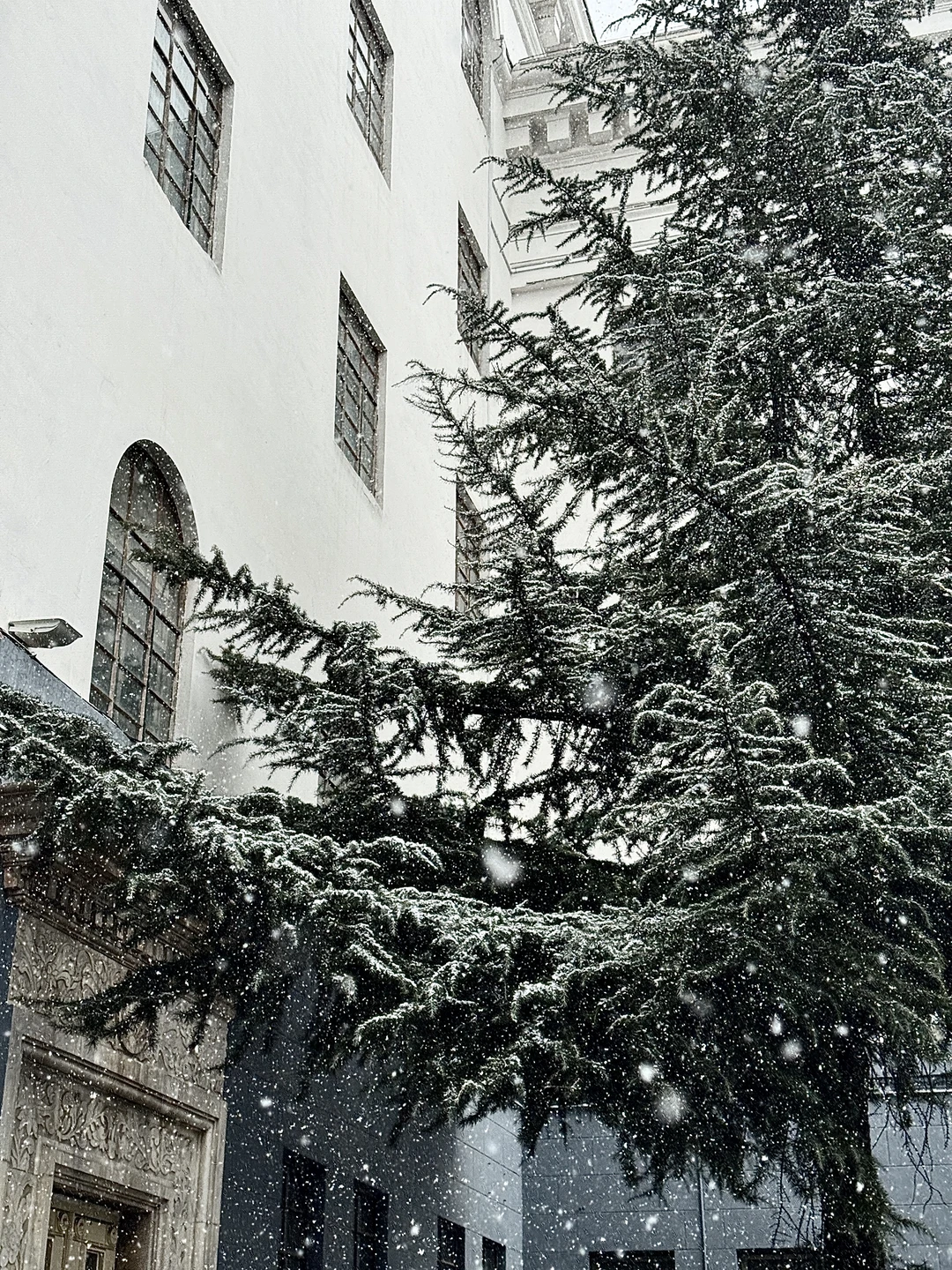 石家庄真的下雪了！！好大啊！！！