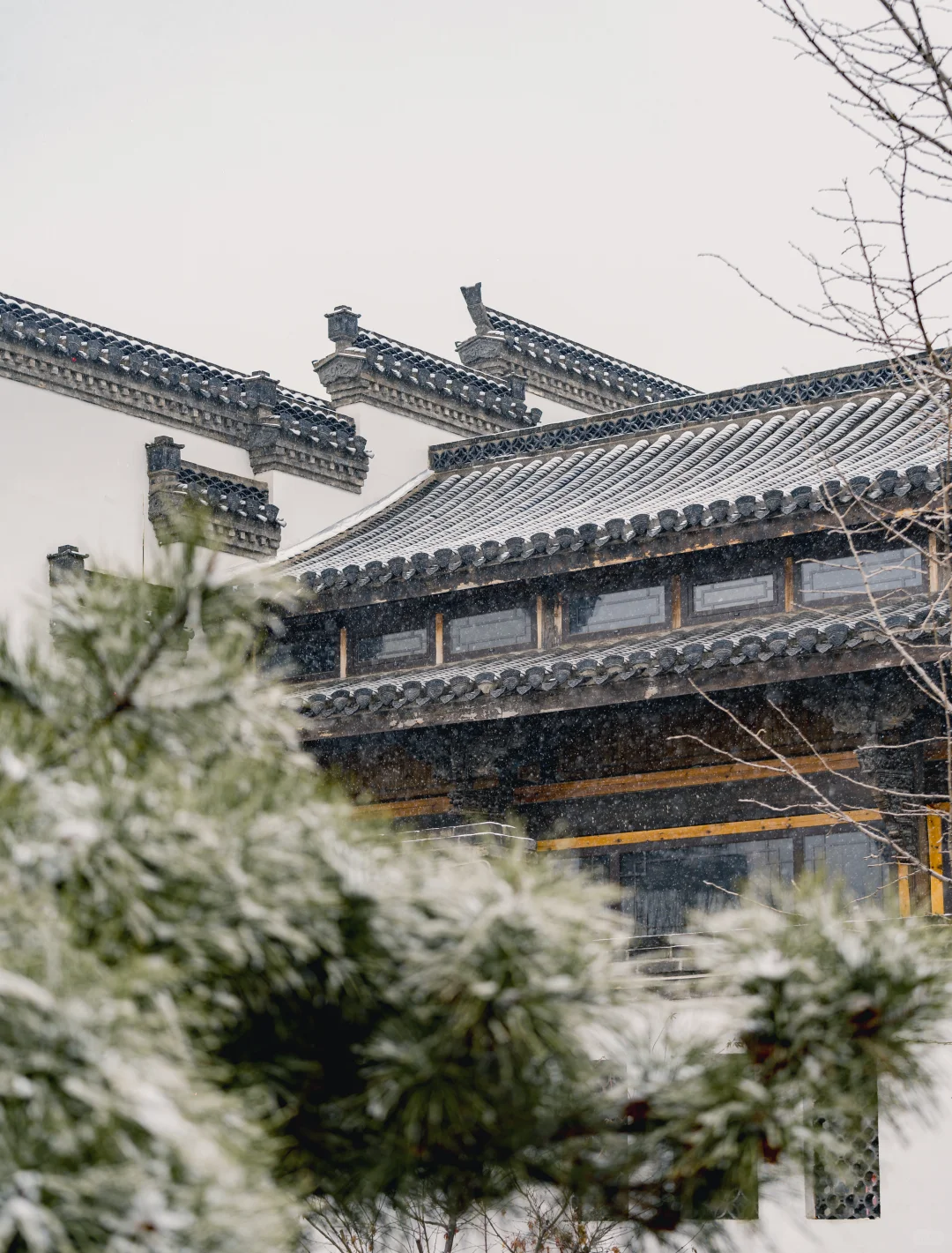 石家庄2025年的第一场大雪 该出去转转