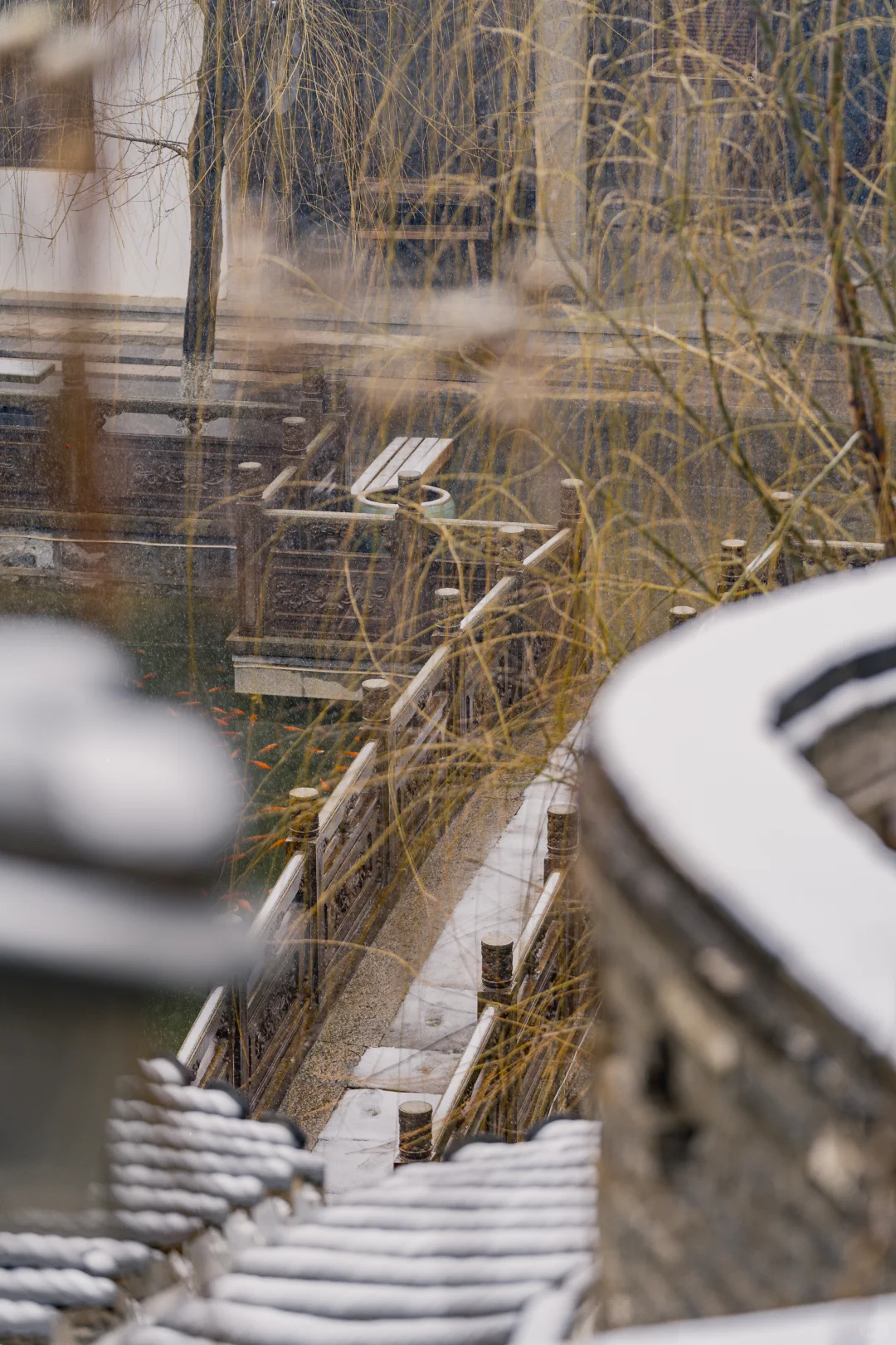 石家庄2025年的第一场大雪 该出去转转