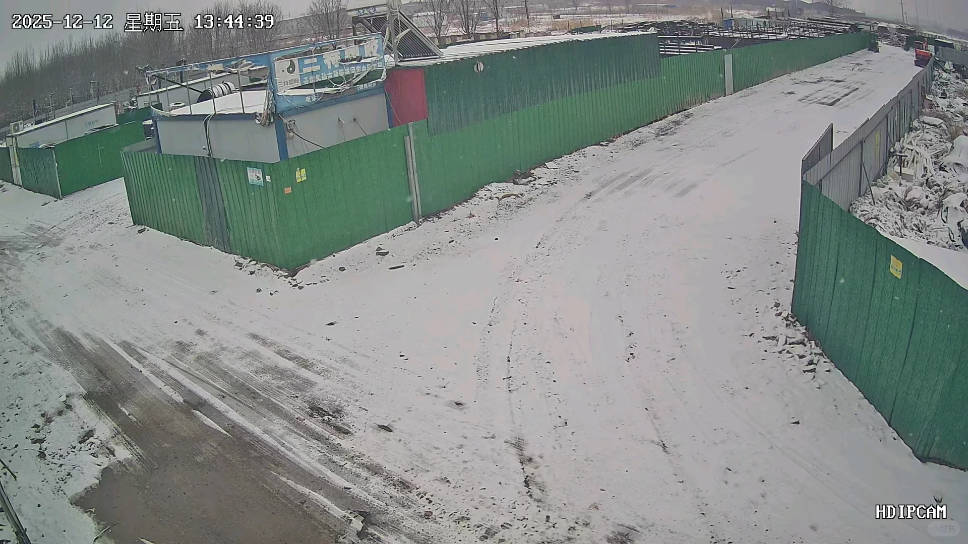 石家庄的雪来了！！！实时各地汇报！🌨️