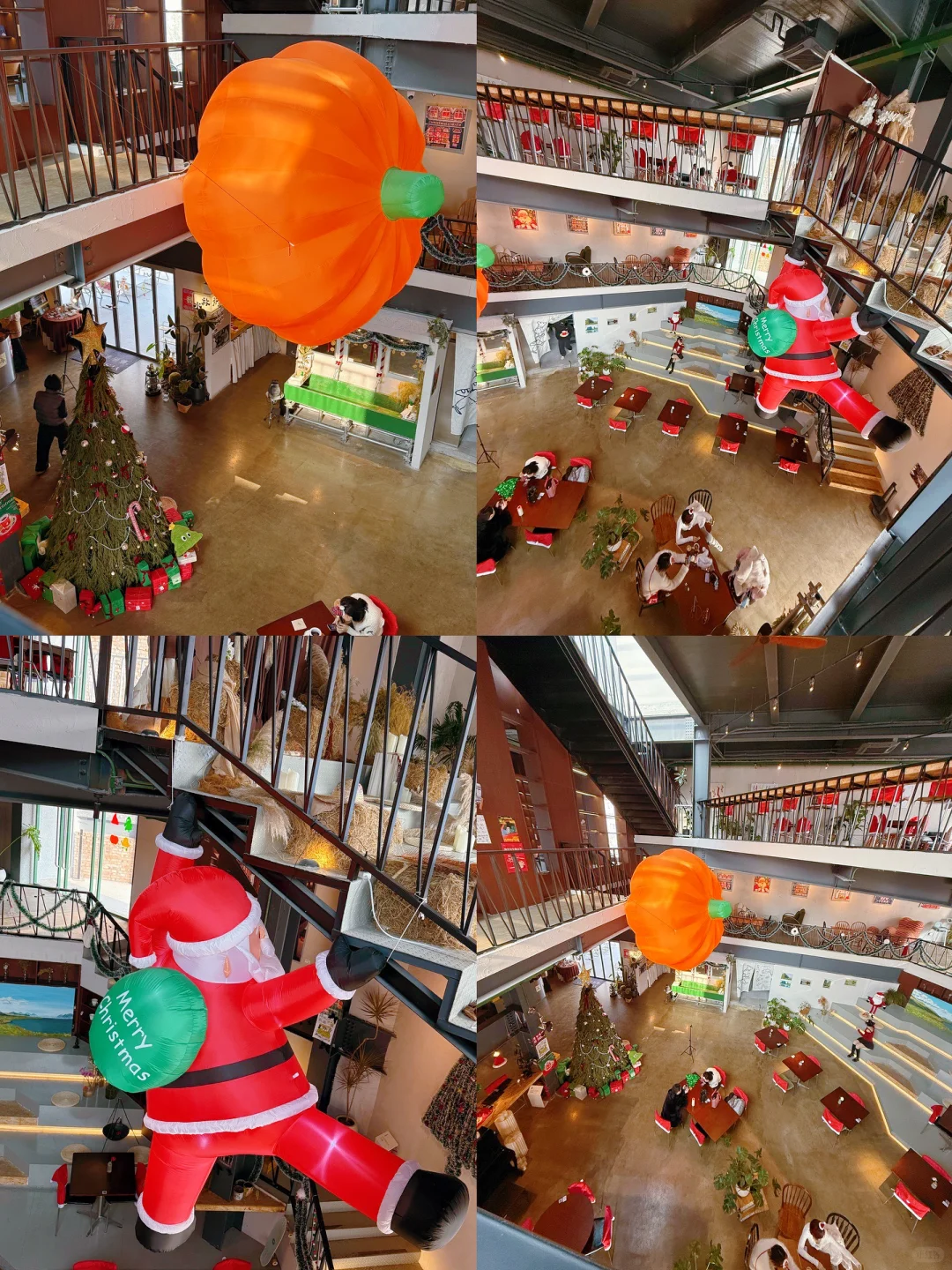 邯郸的咖啡店啥时候这么多了