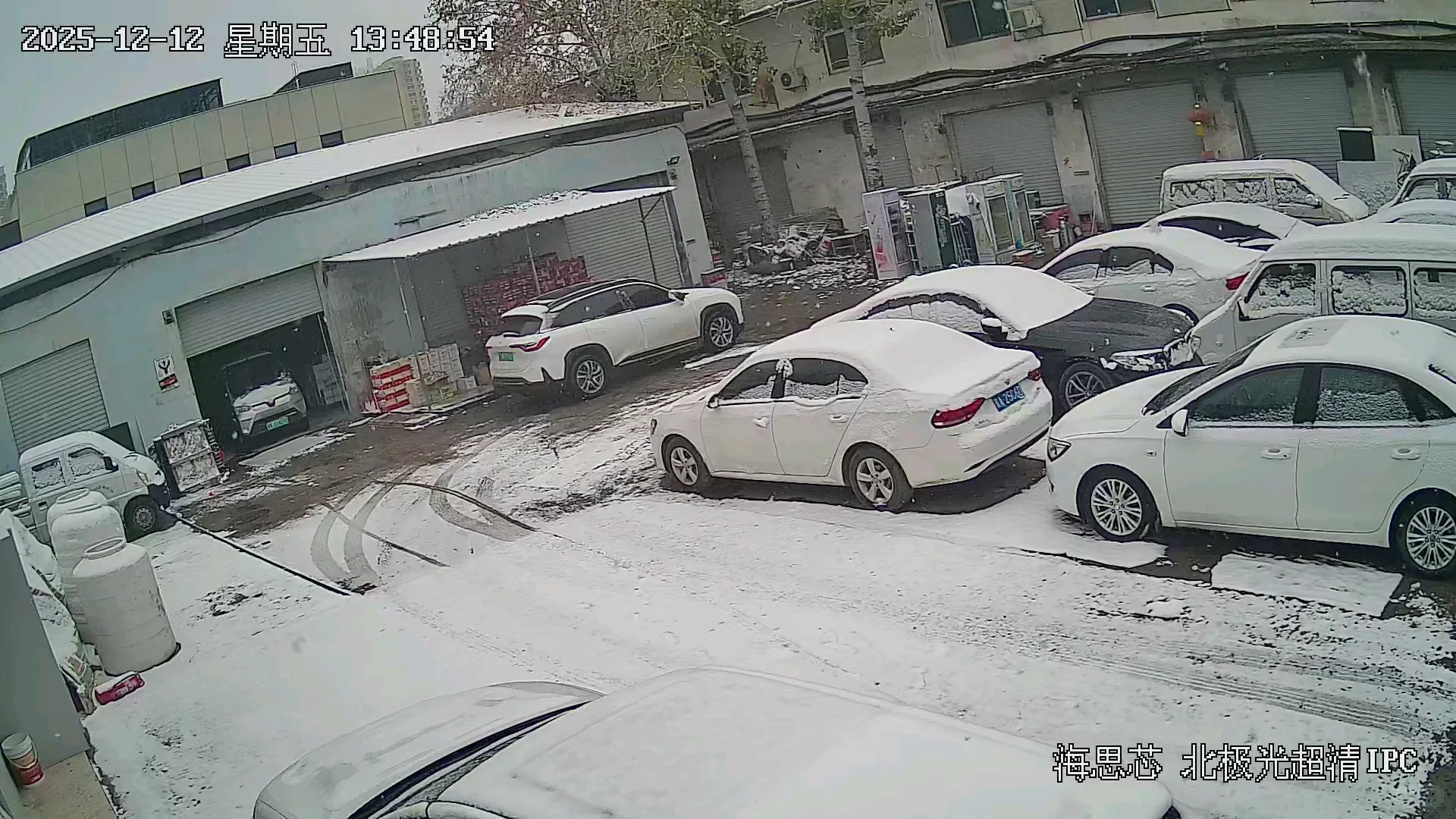 石家庄的雪来了！！！实时各地汇报！🌨️