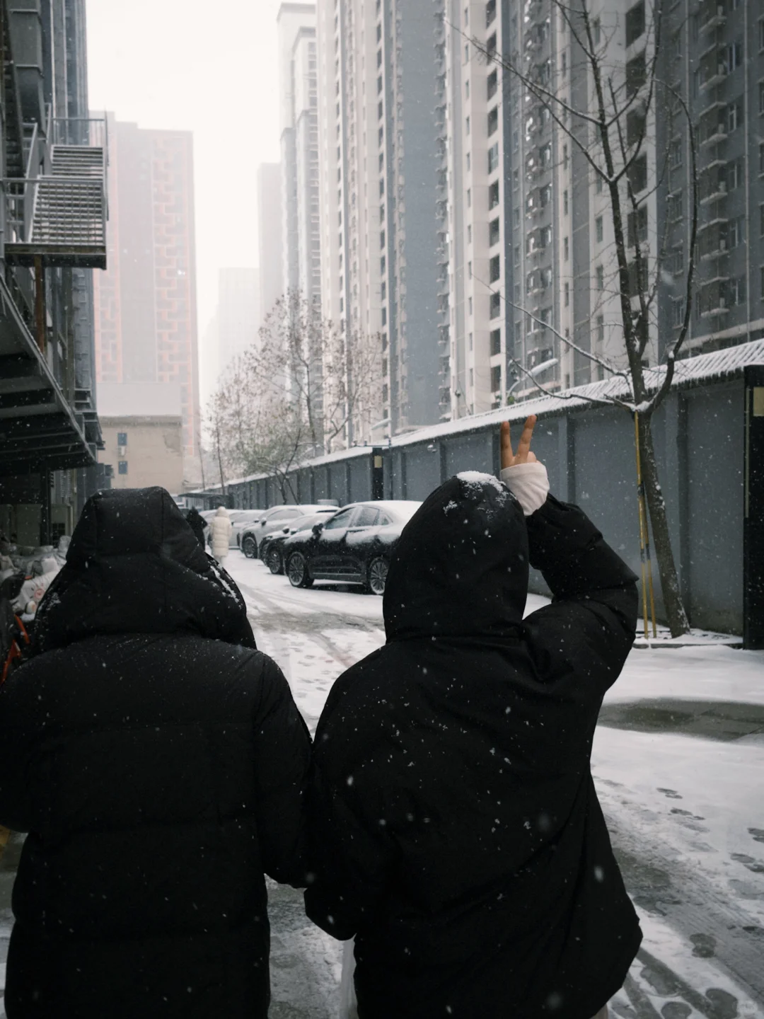 石家庄的冬天❄️