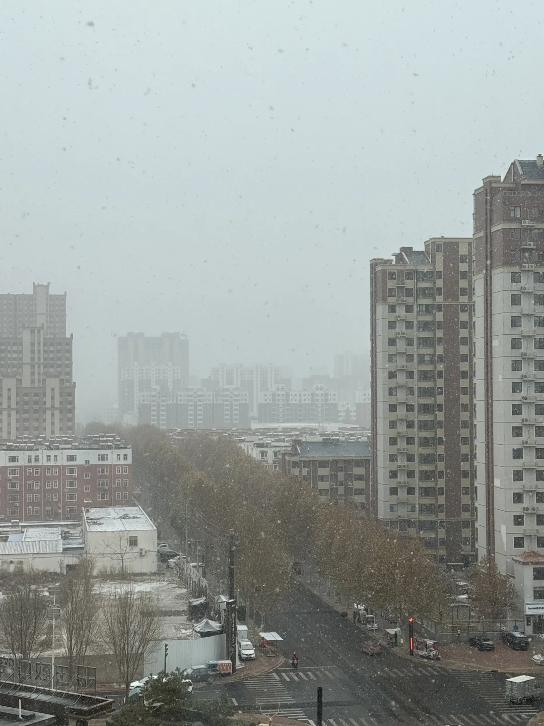 坐标石家庄 下大了 看看大家拍的！