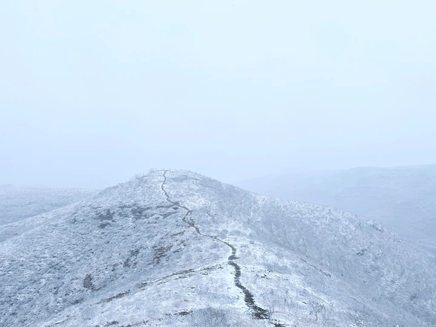 国际庄第一场雪