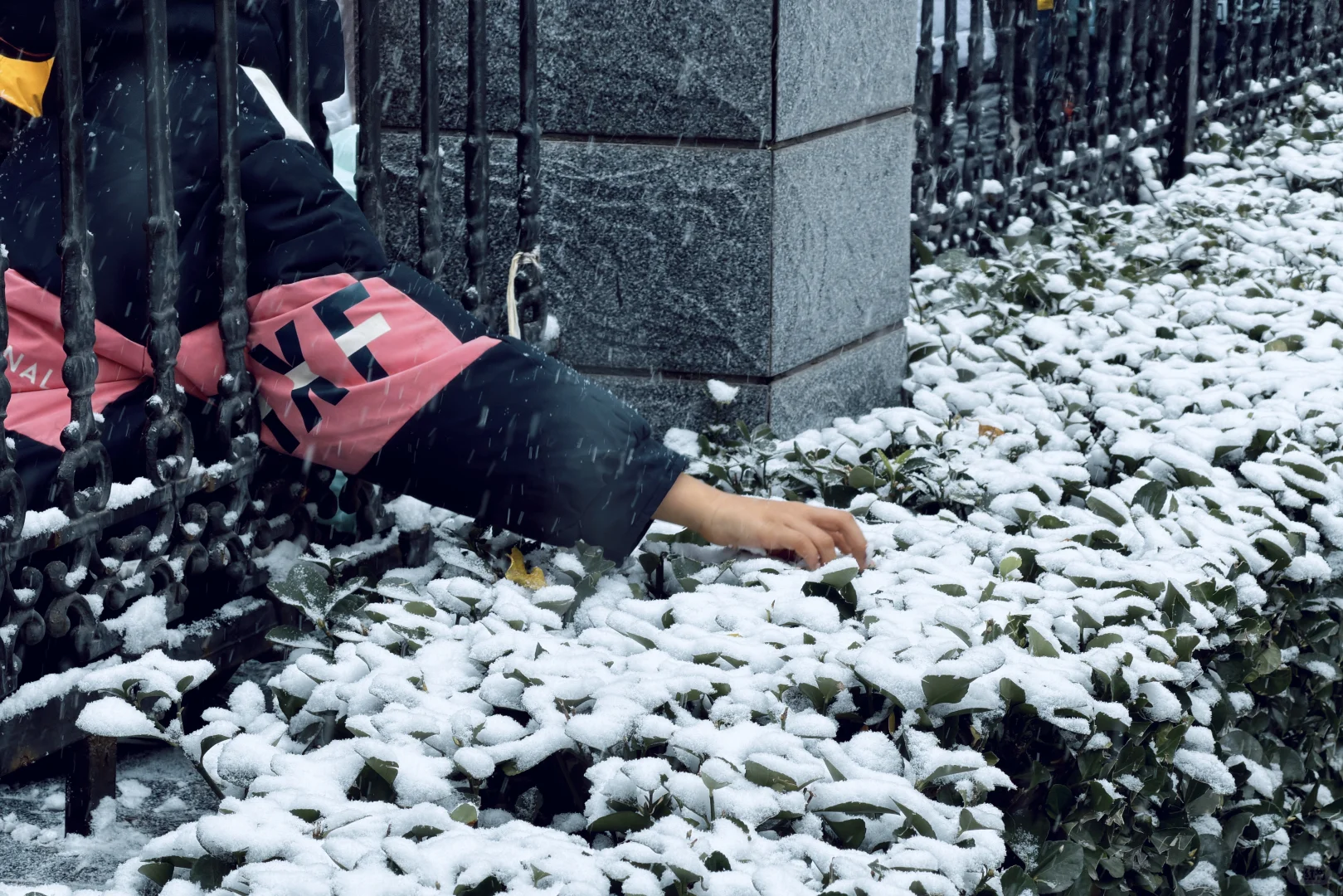 年年落雪❄️雪落年年