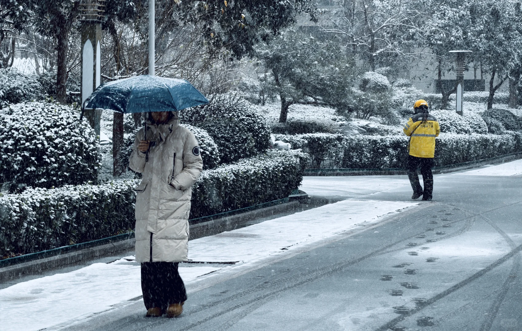 年年落雪❄️雪落年年