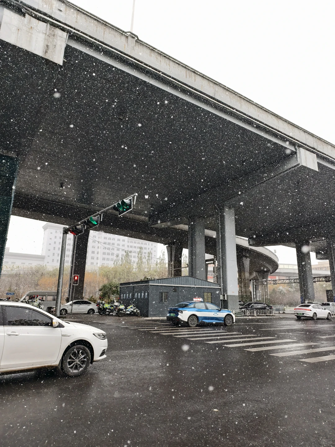 石家庄下雪啦❄！！！