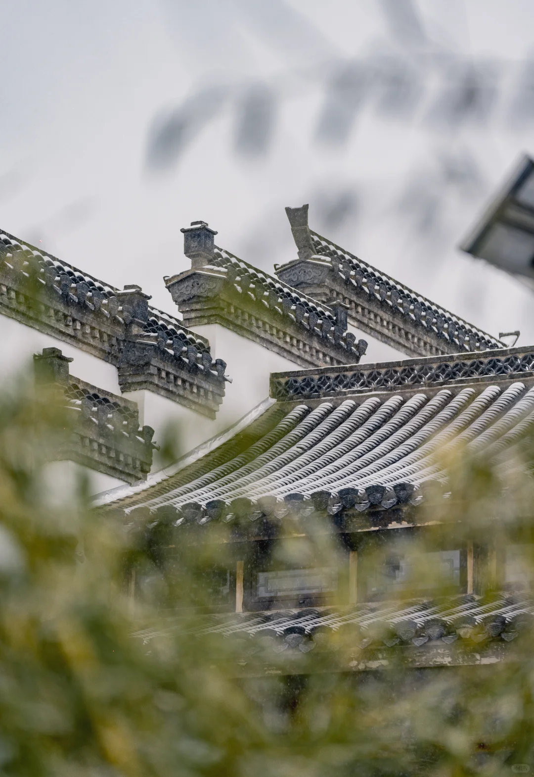 石家庄2025年的第一场大雪 该出去转转