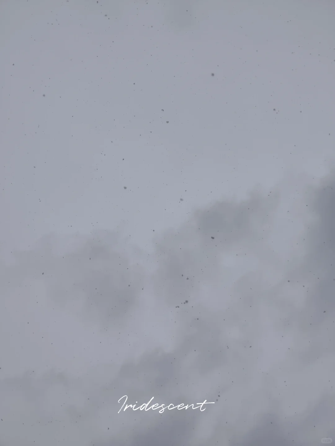 你是约的雪，我在邯郸帮你看了