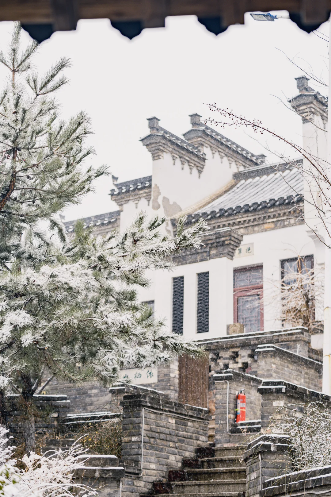 石家庄2025年的第一场大雪 该出去转转