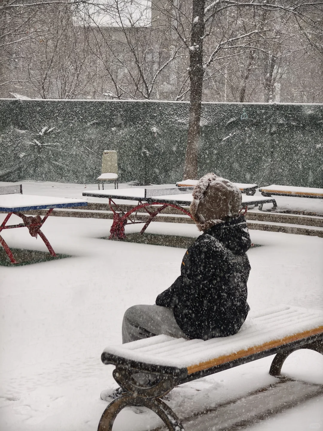 石家庄下大雪啦