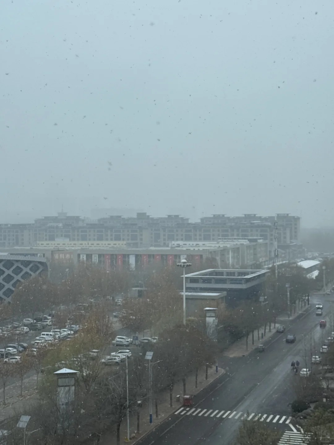 坐标石家庄 下大了 看看大家拍的！