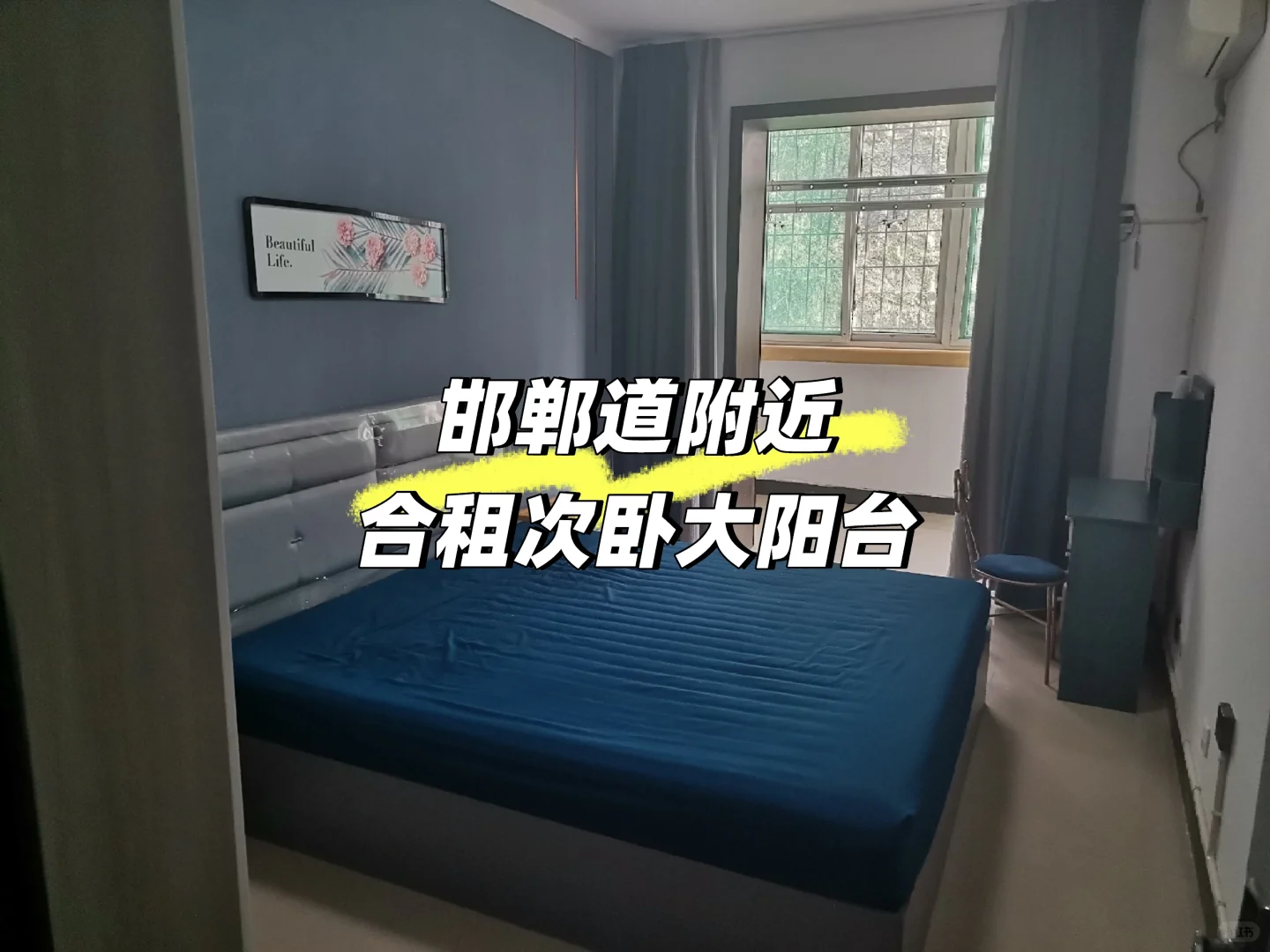 新世纪邯郸道附近合租