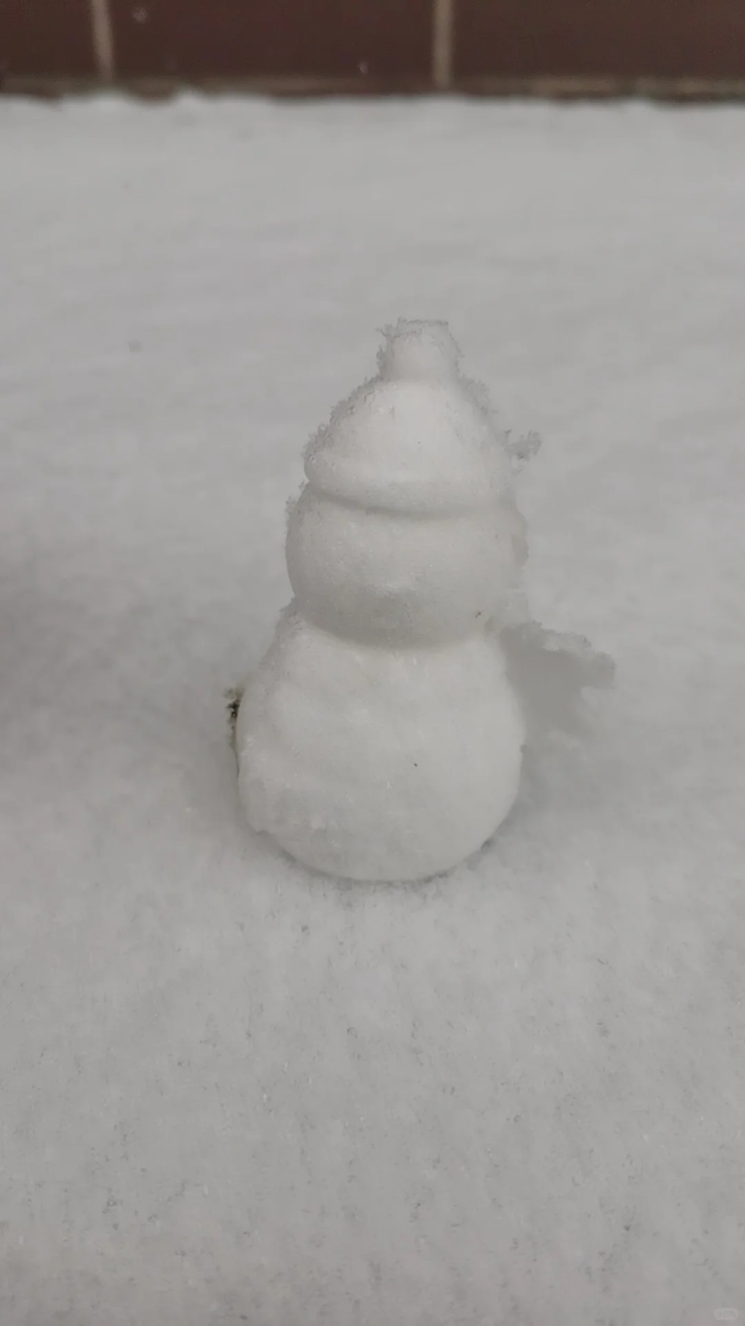 石家庄的雪来了。