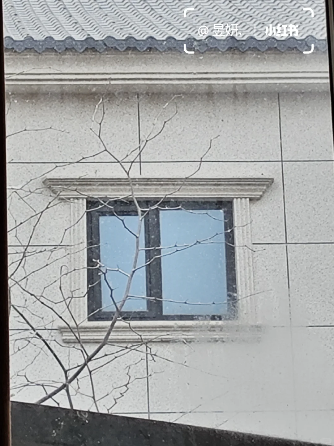 你是约的雪，我在邯郸帮你看了