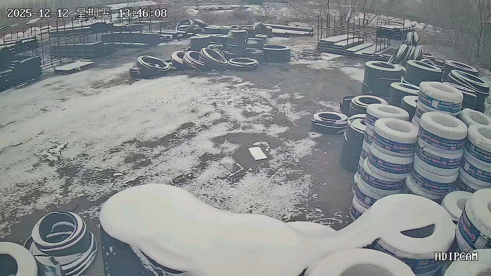 石家庄的雪来了！！！实时各地汇报！🌨️