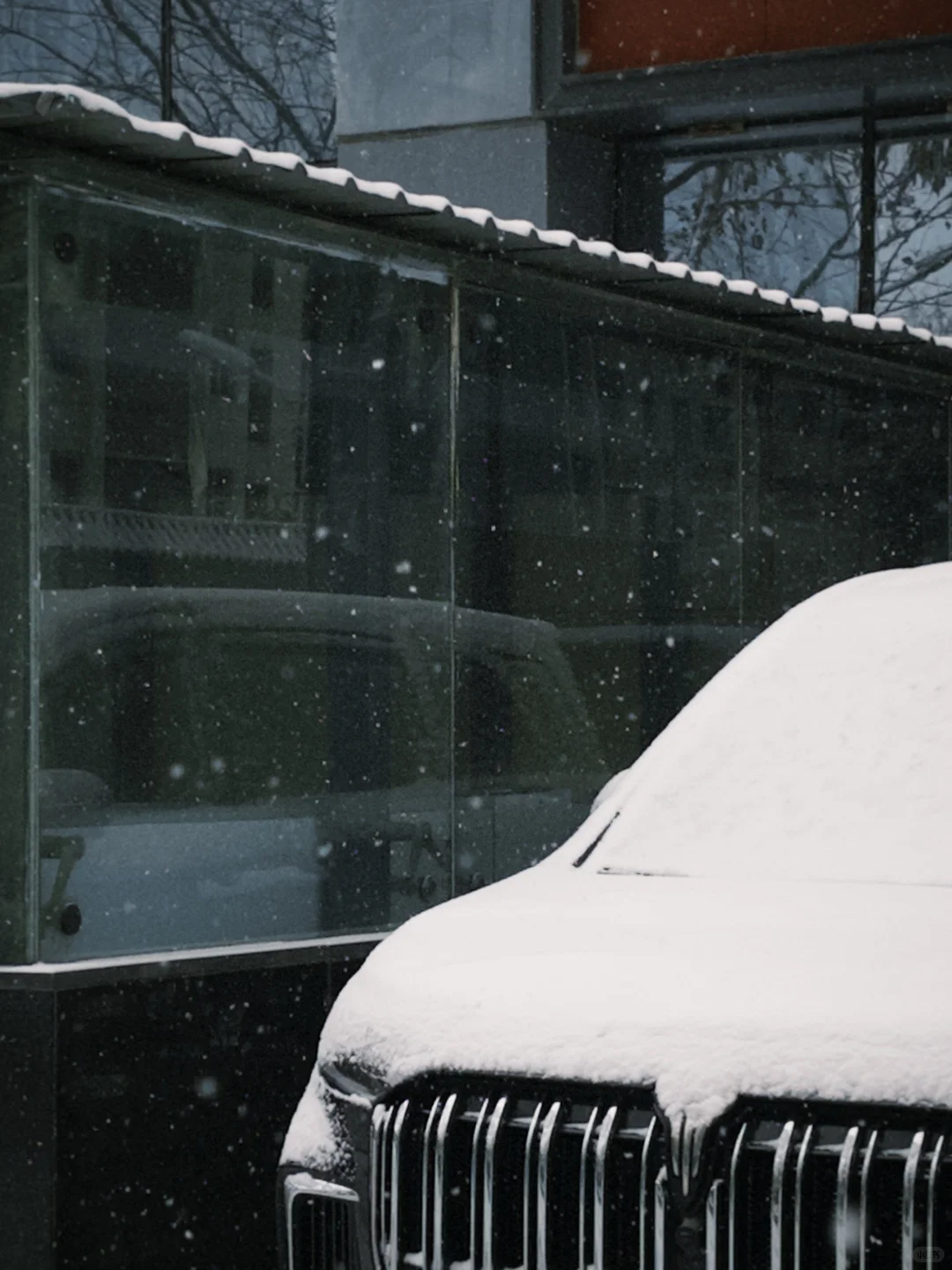 石家庄的冬天❄️