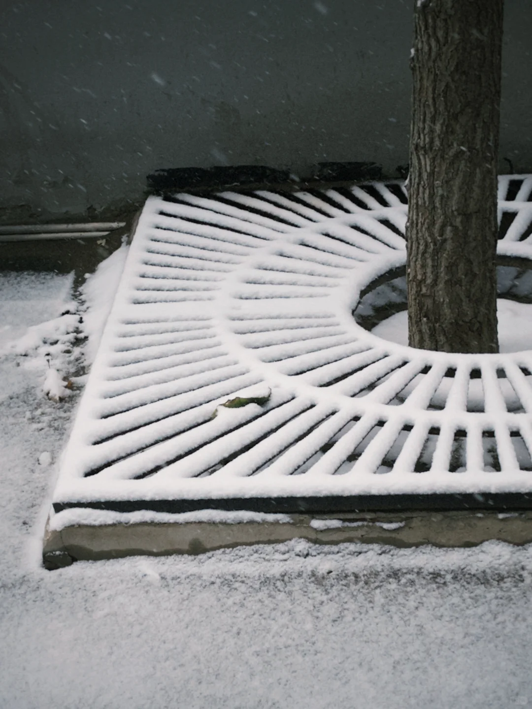 石家庄的冬天❄️