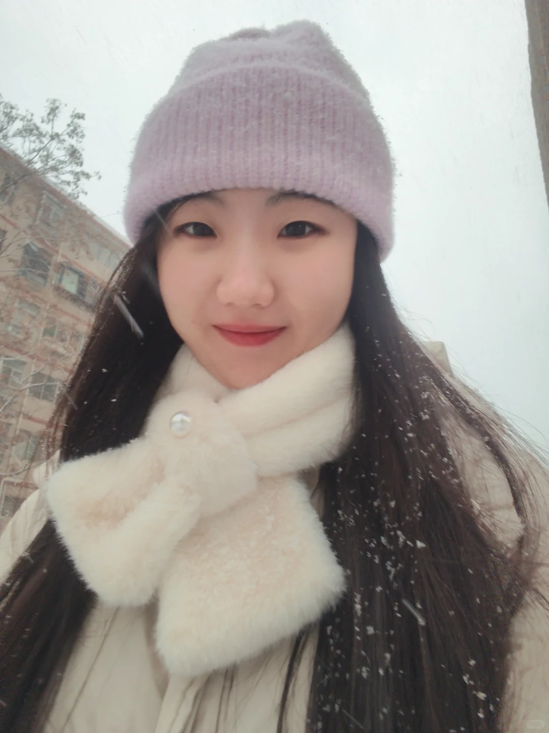 石家庄下雪啦❄！！！