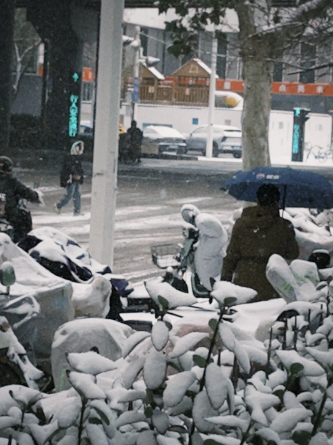 石家庄的冬天❄️