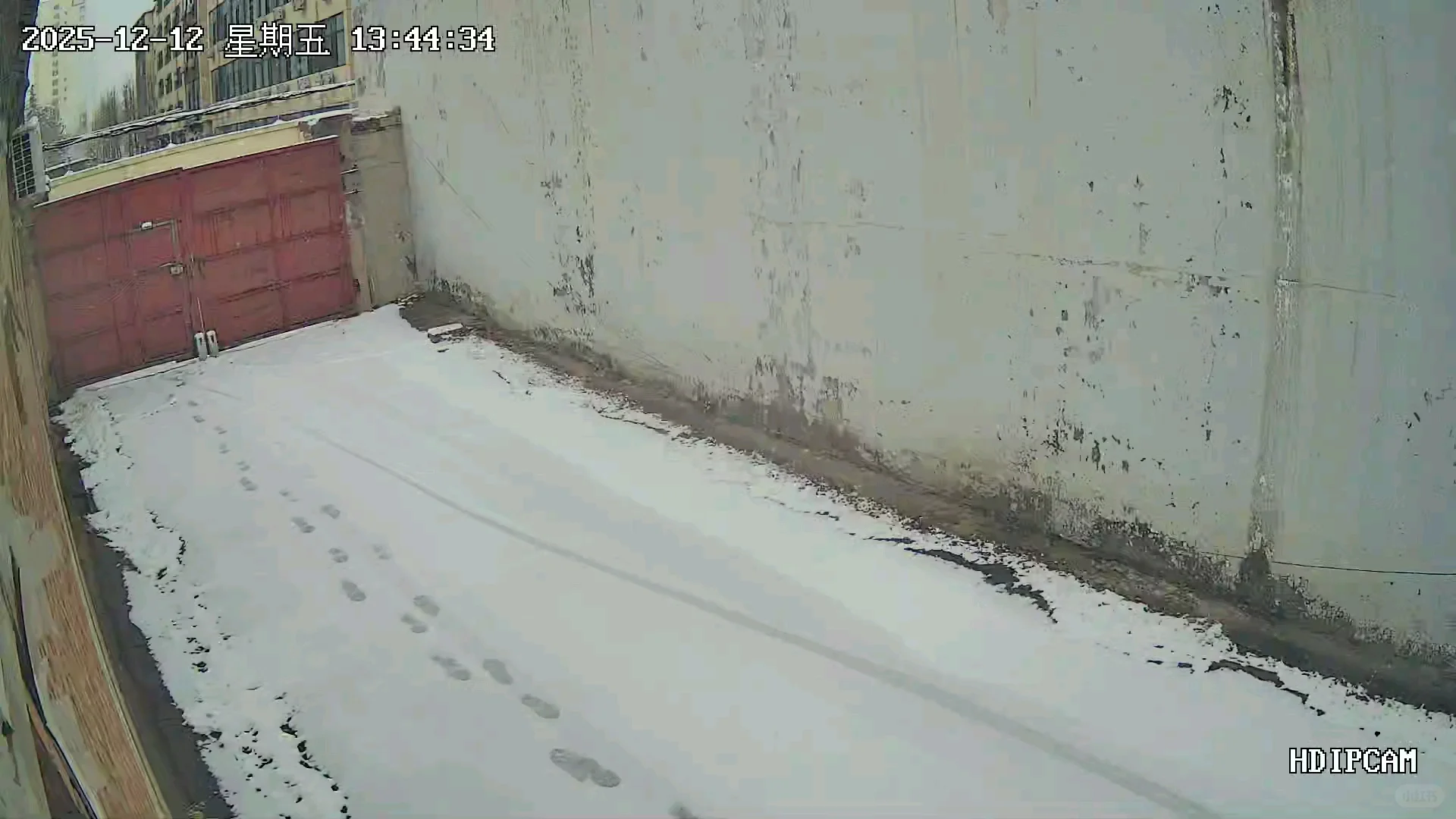 石家庄的雪来了！！！实时各地汇报！🌨️