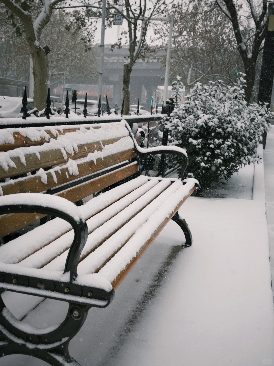 石家庄的冬天❄️