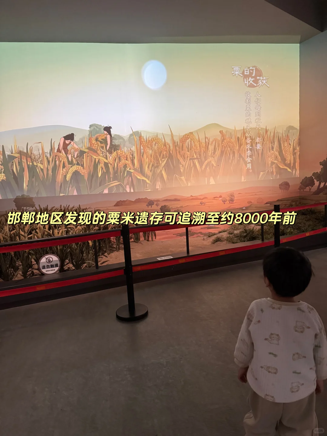 济南出发3小时!带娃自驾三千年古城邯郸！