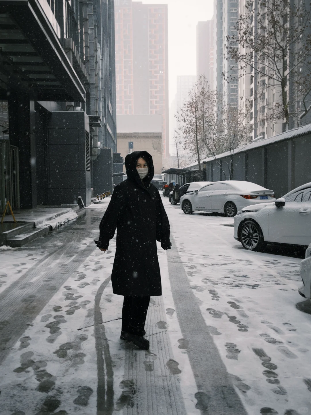 石家庄的冬天❄️