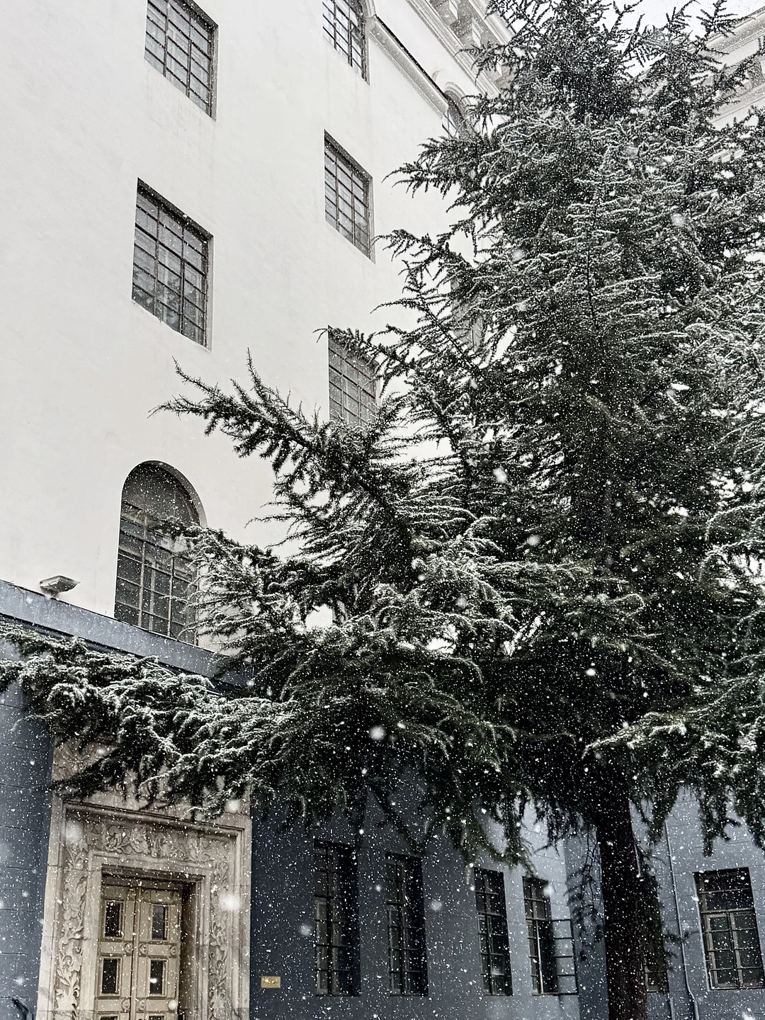 石家庄真的下雪了！！好大啊！！！