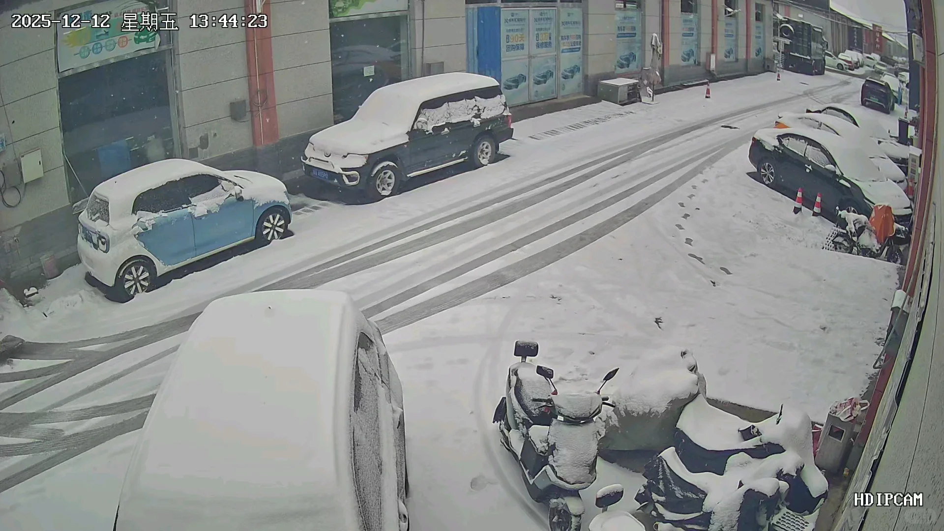 石家庄的雪来了！！！实时各地汇报！🌨️