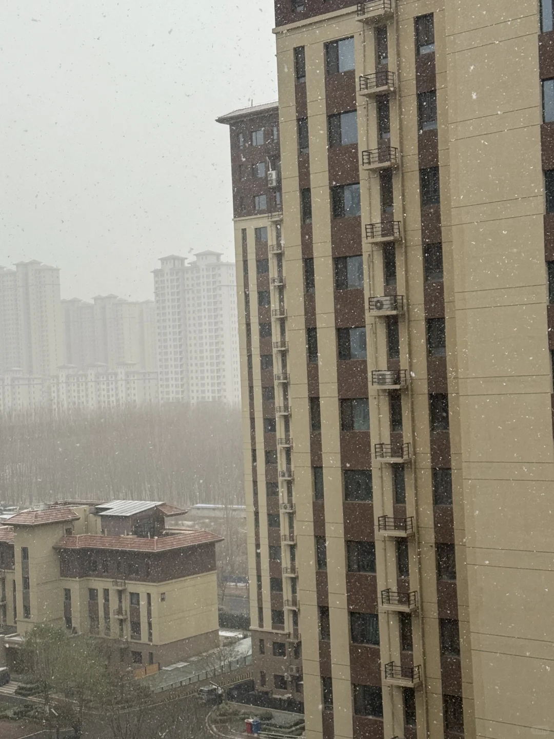 坐标石家庄 下大了 看看大家拍的！