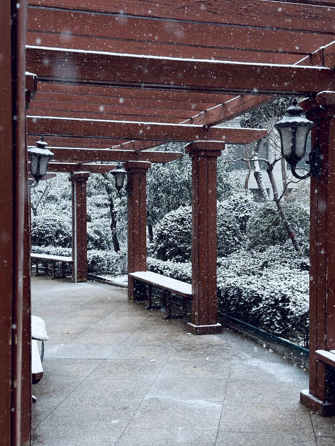 年年落雪❄️雪落年年