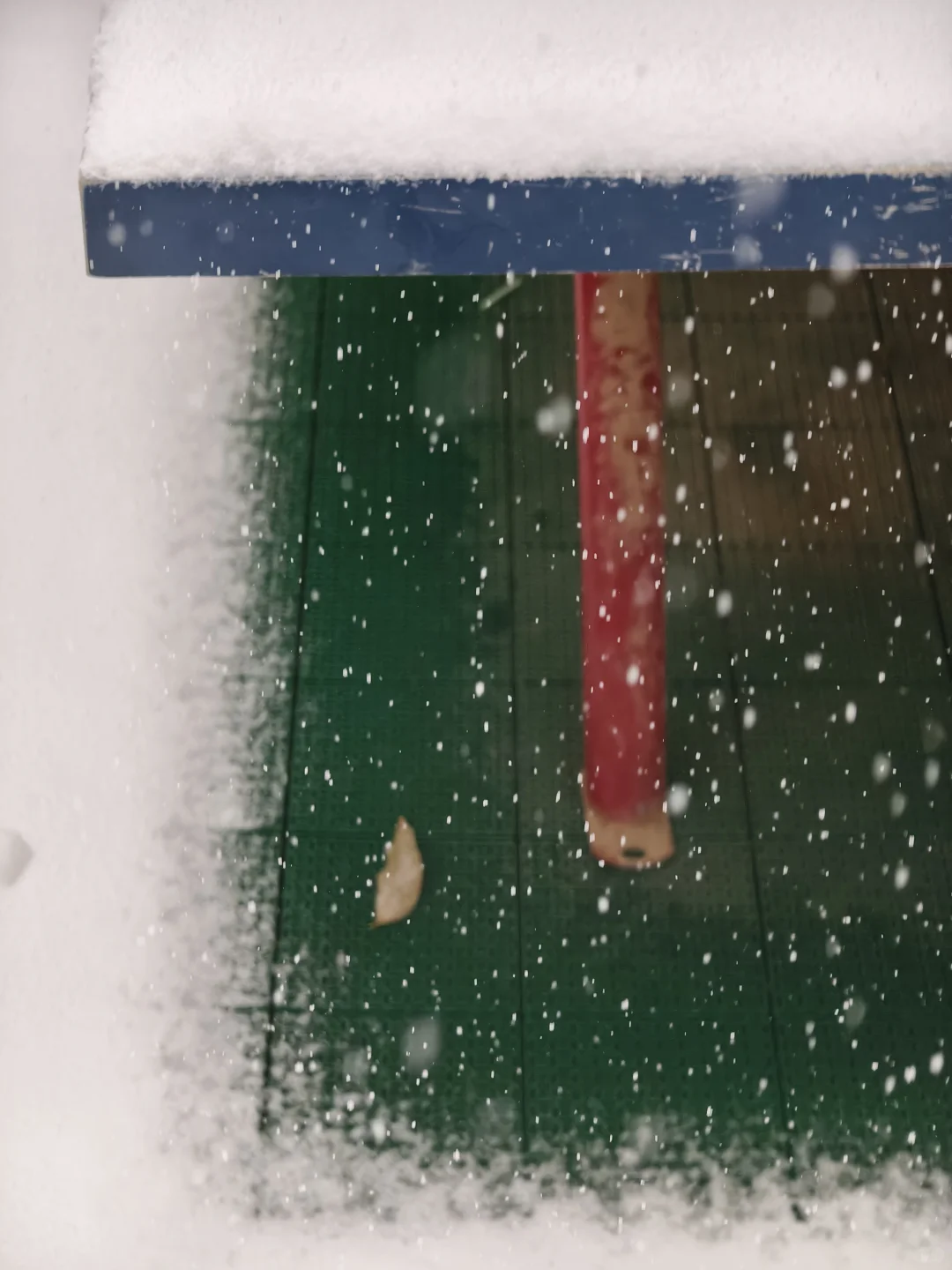 石家庄下大雪啦