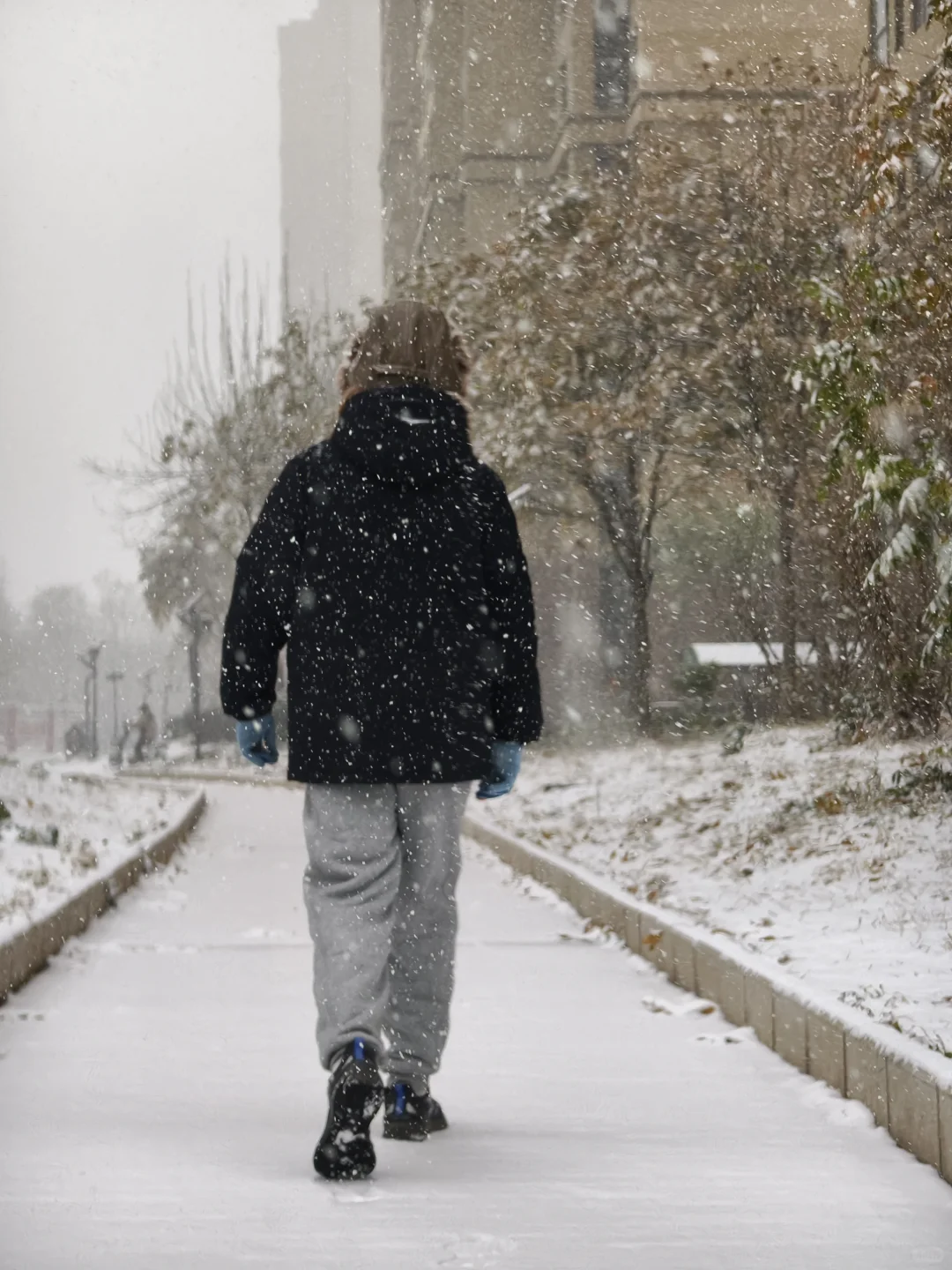石家庄下大雪啦