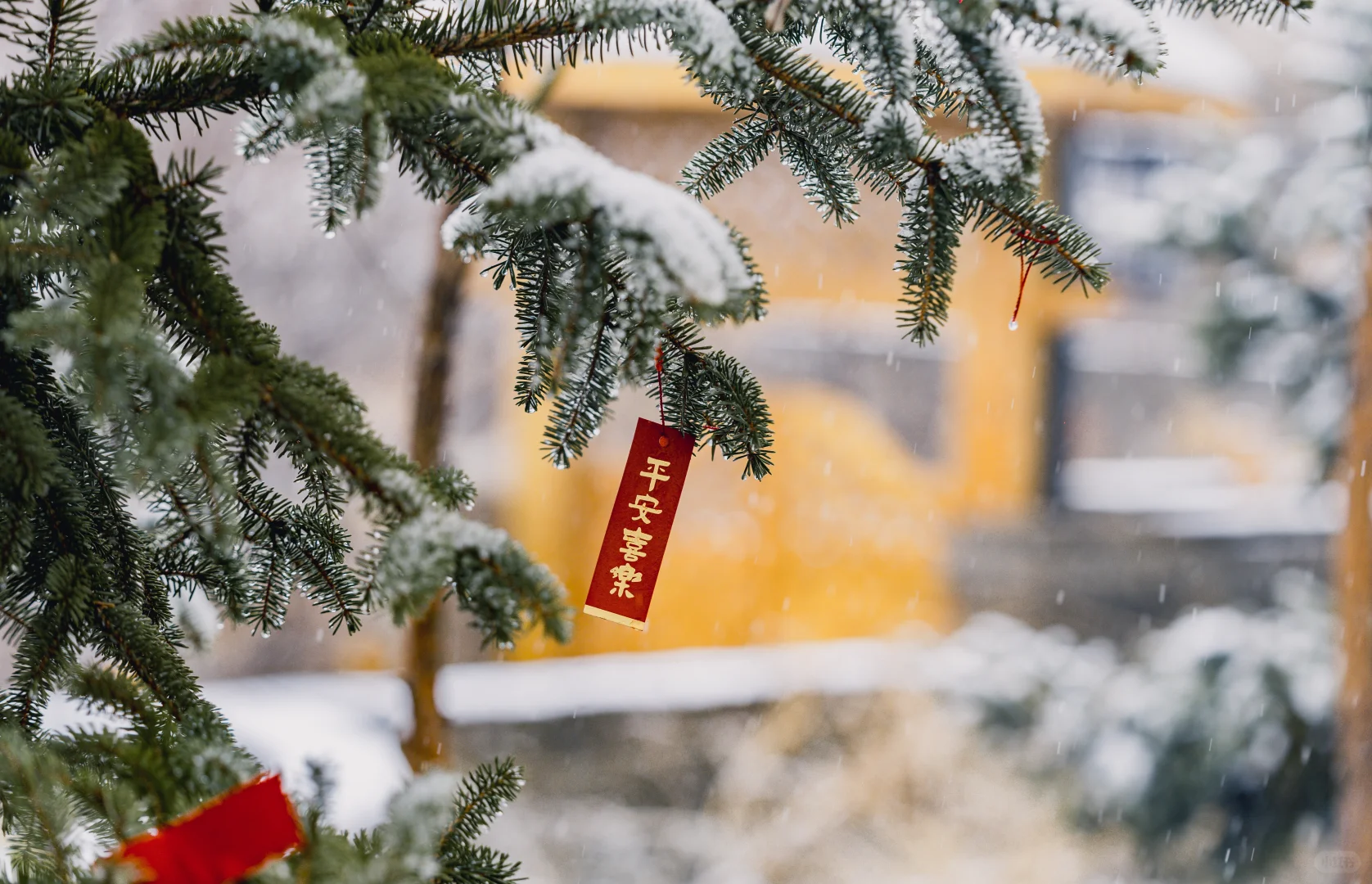 石家庄2025年的第一场大雪 该出去转转