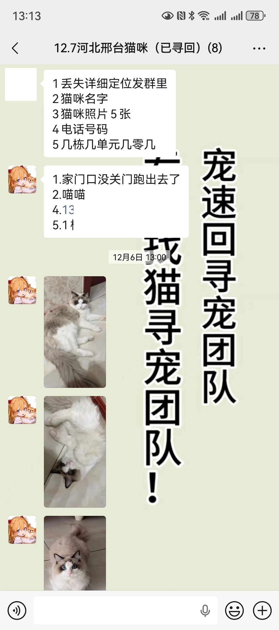 邢台寻猫团队