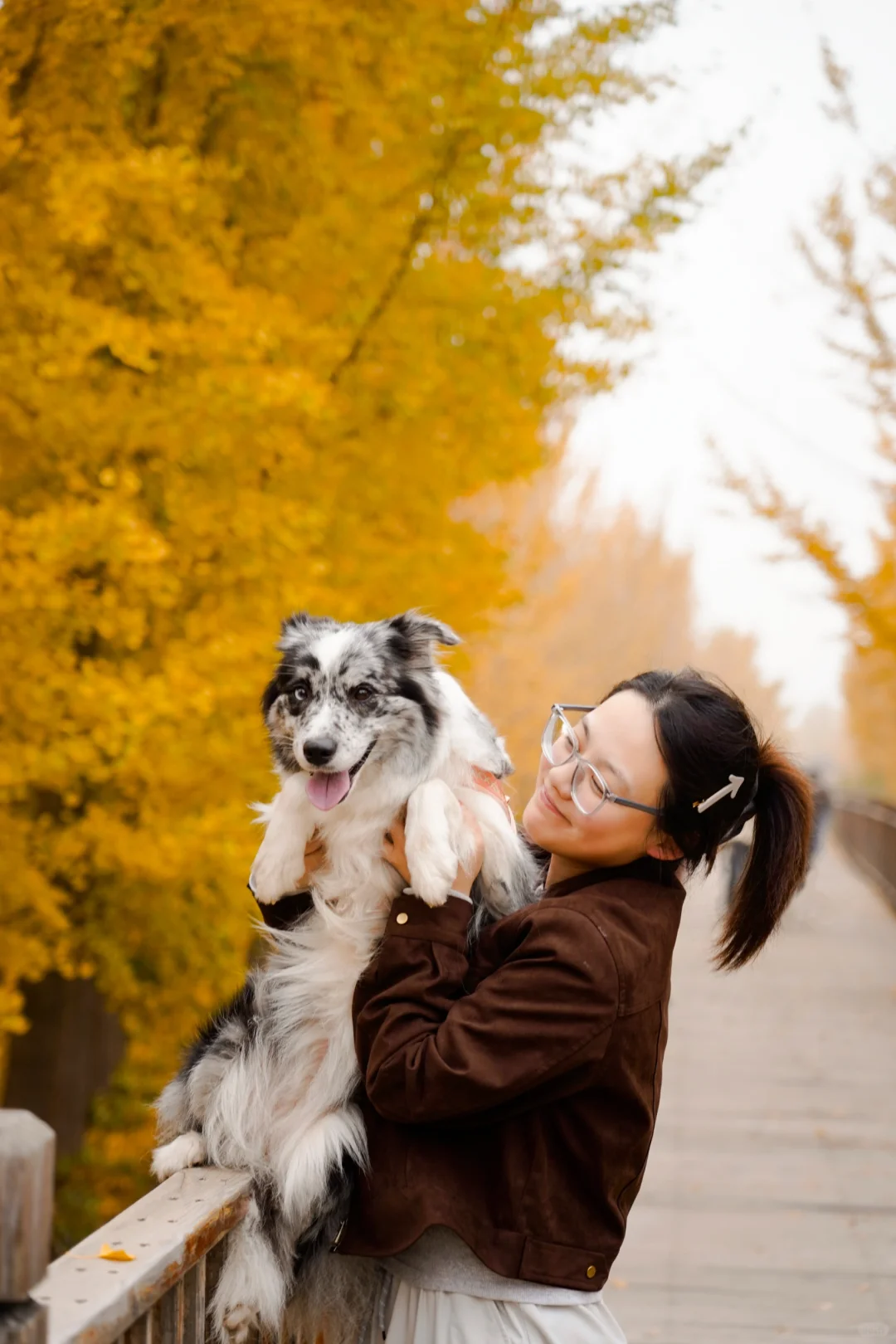 胖妞第87拍｜邢台超出片的万亩银杏林