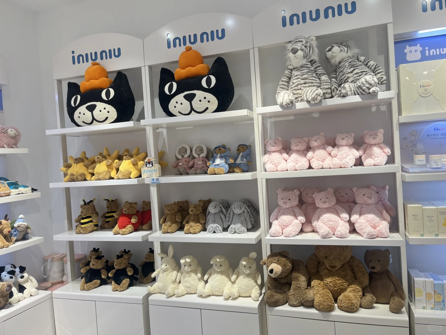 邢台首家Jellycat形象店来啦