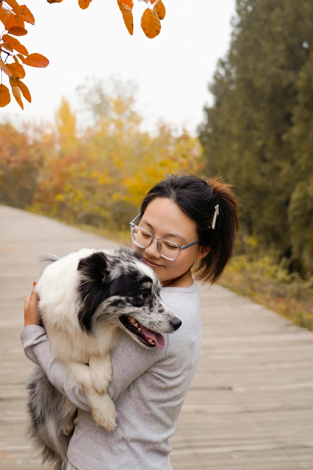 胖妞第87拍｜邢台超出片的万亩银杏林