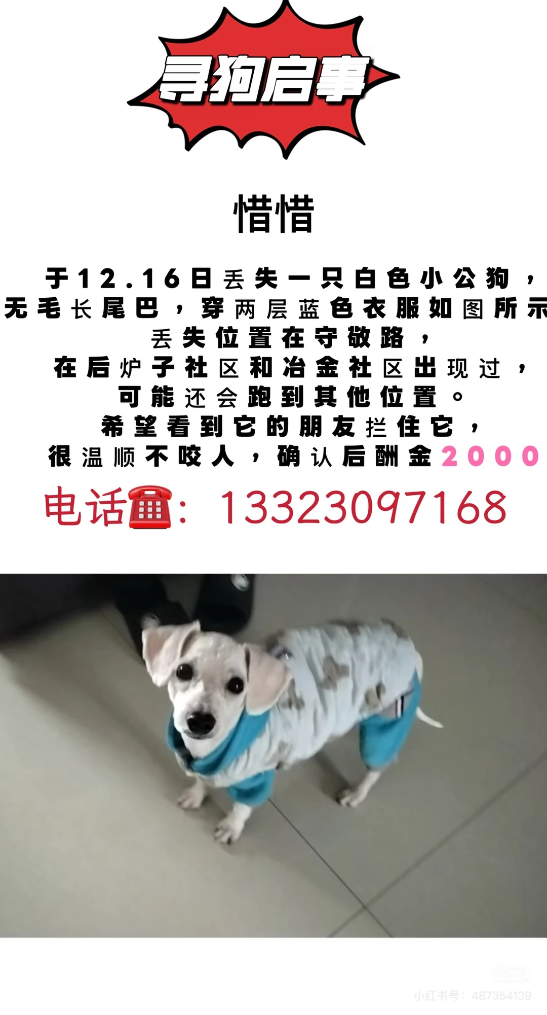 帮转: 邢台狗狗走丢，帮狗狗回家