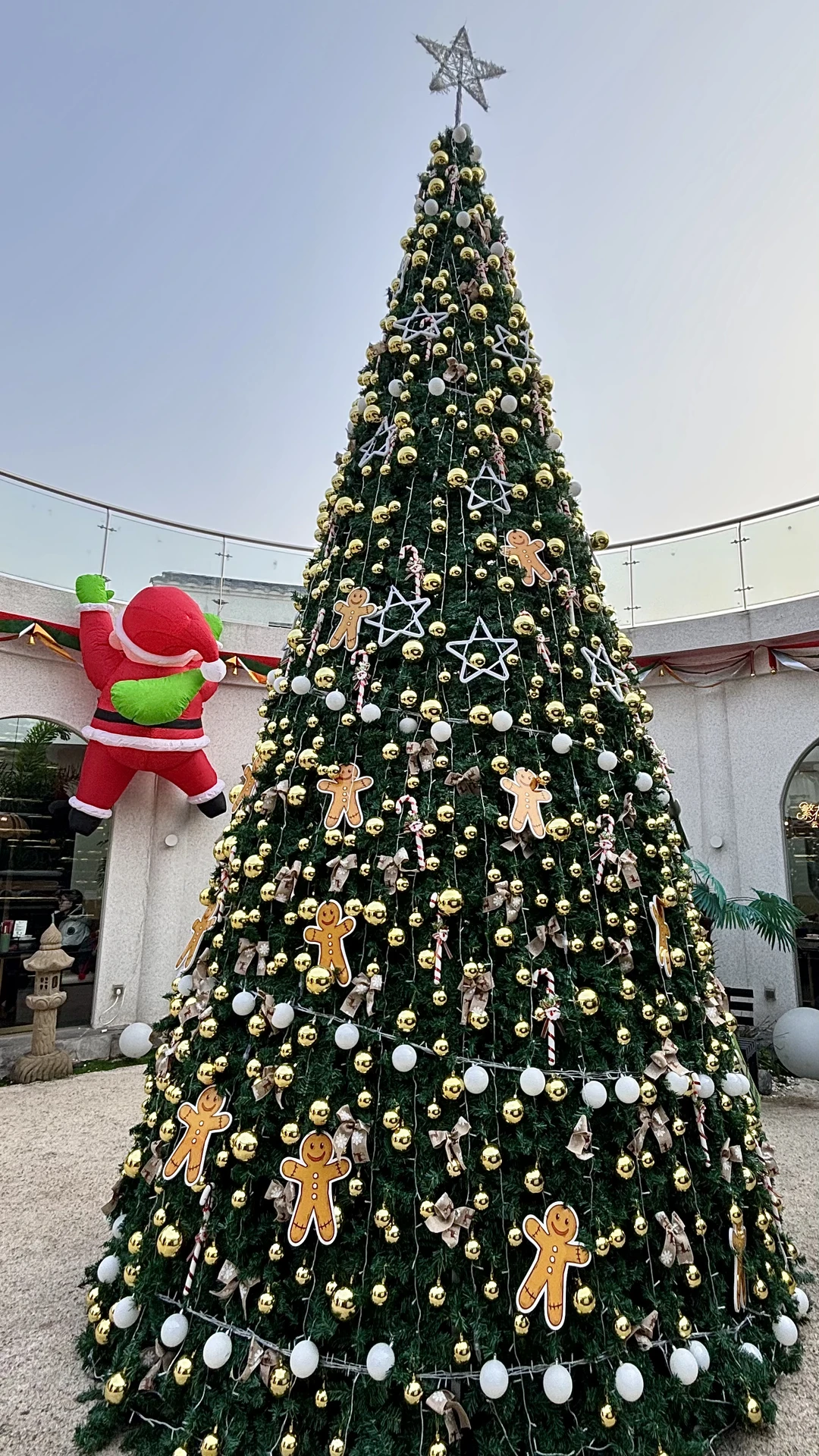 邢台）我愿称之为最伟大的鸡尾酒！！！