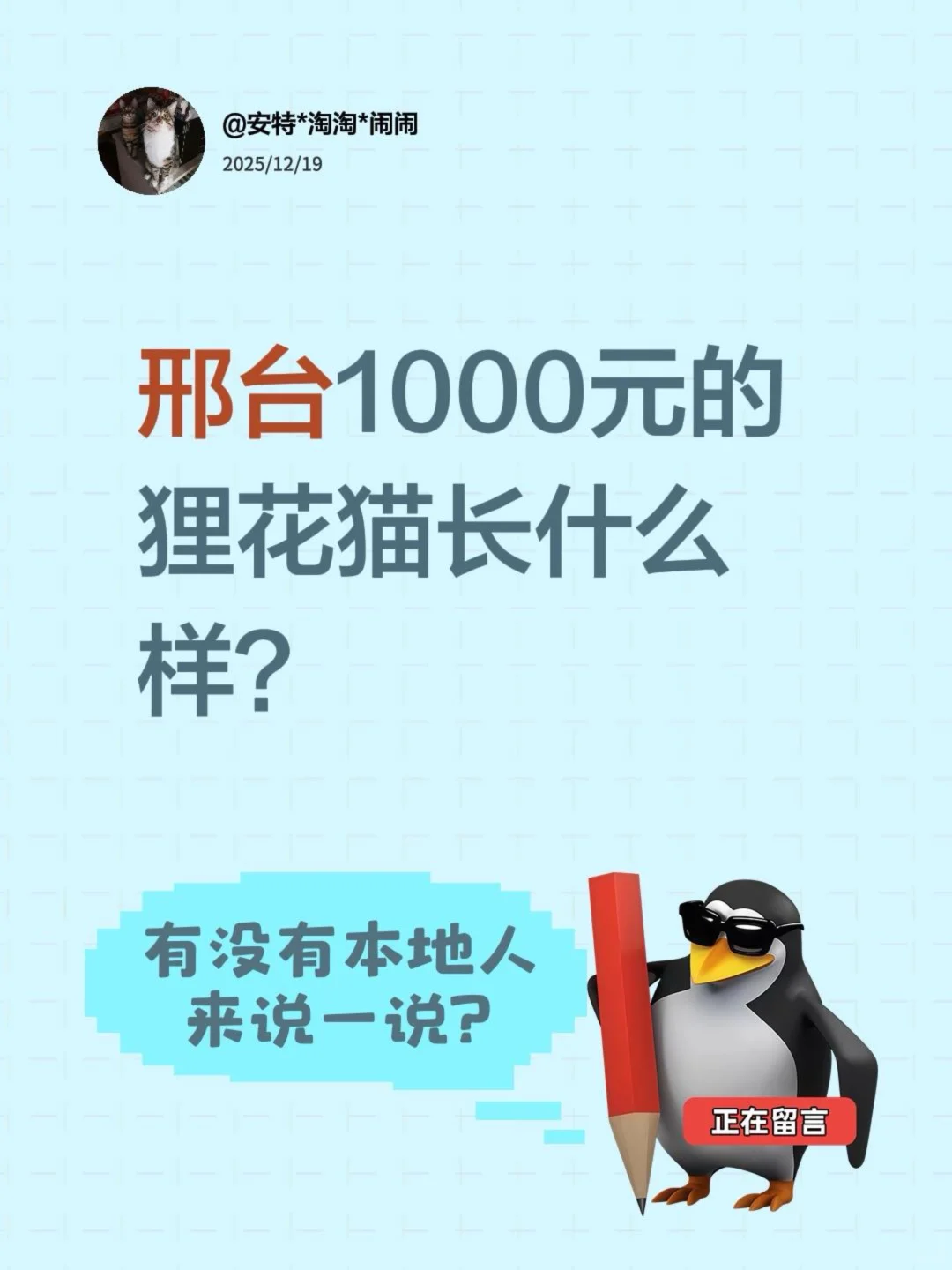 邢台的狸花猫价值1000元，你见过吗？