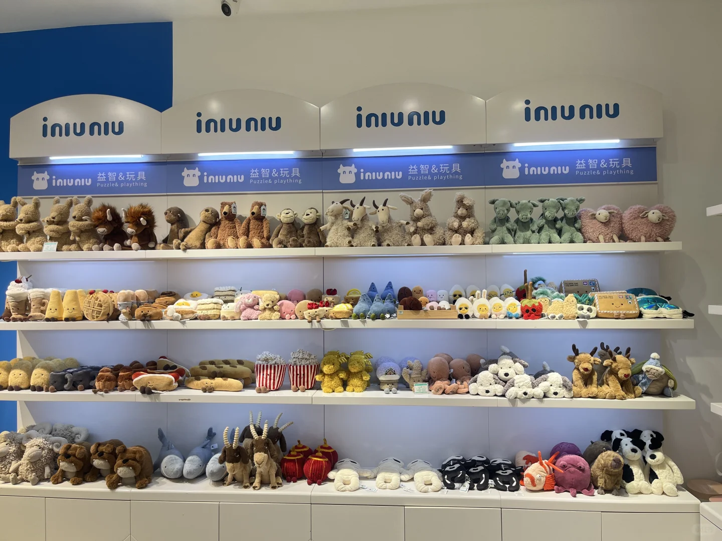 邢台首家Jellycat形象店来啦