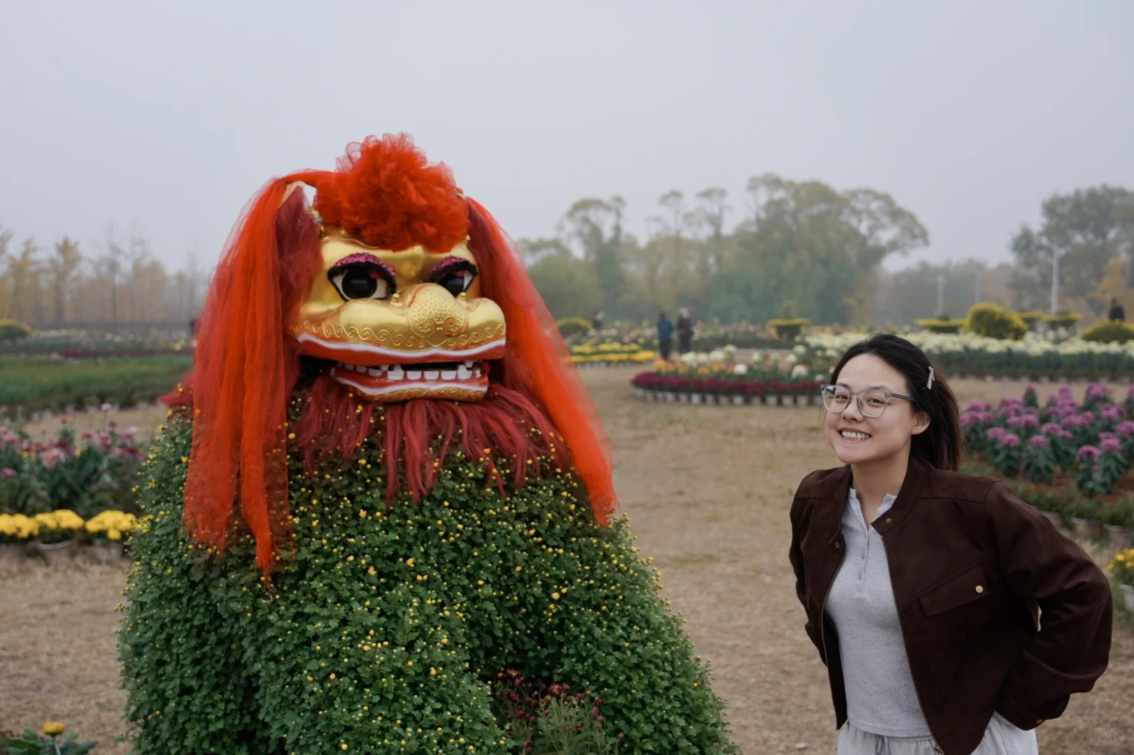 胖妞第87拍｜邢台超出片的万亩银杏林