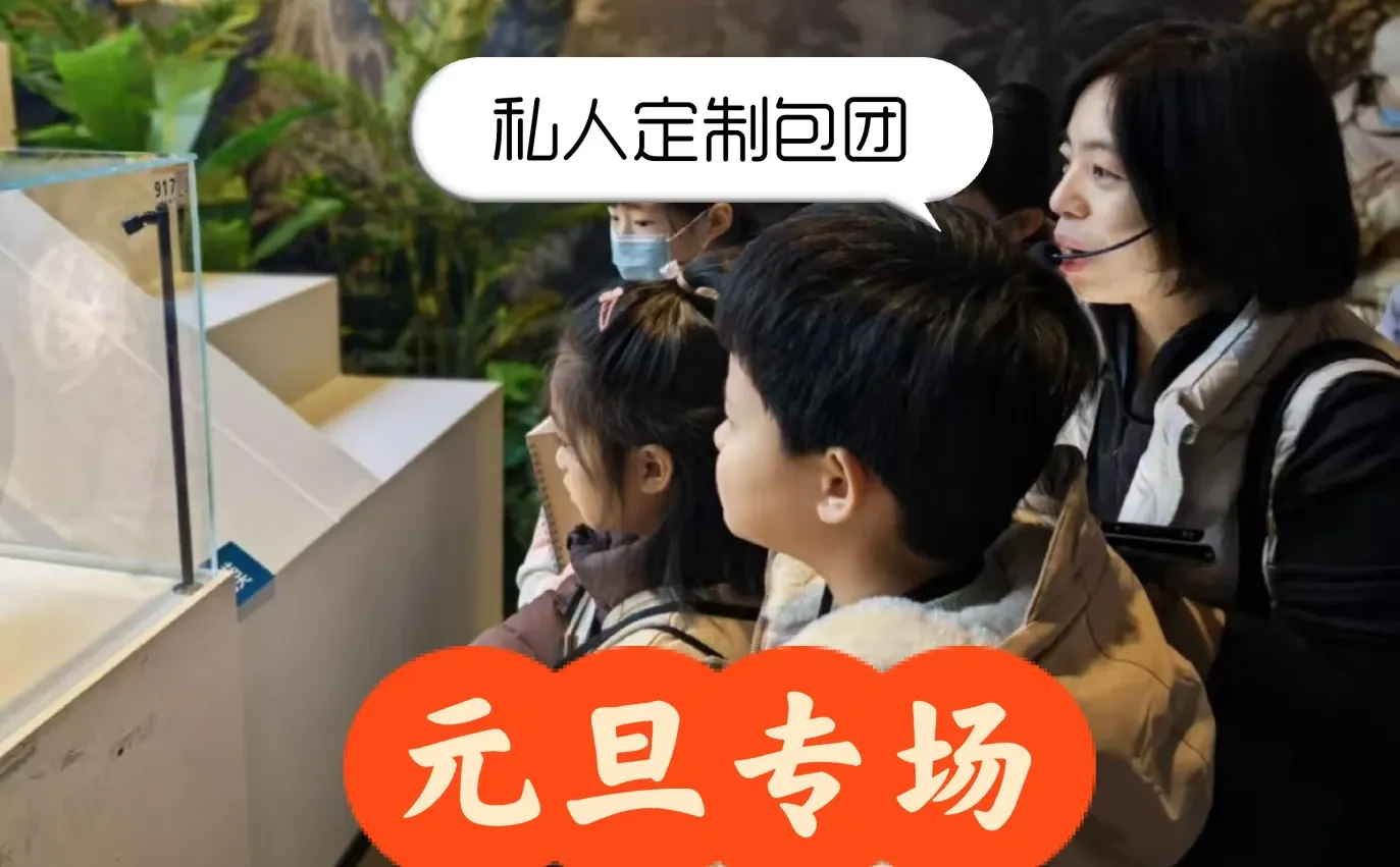 元旦河北博物院私家定制讲解 | 白老师